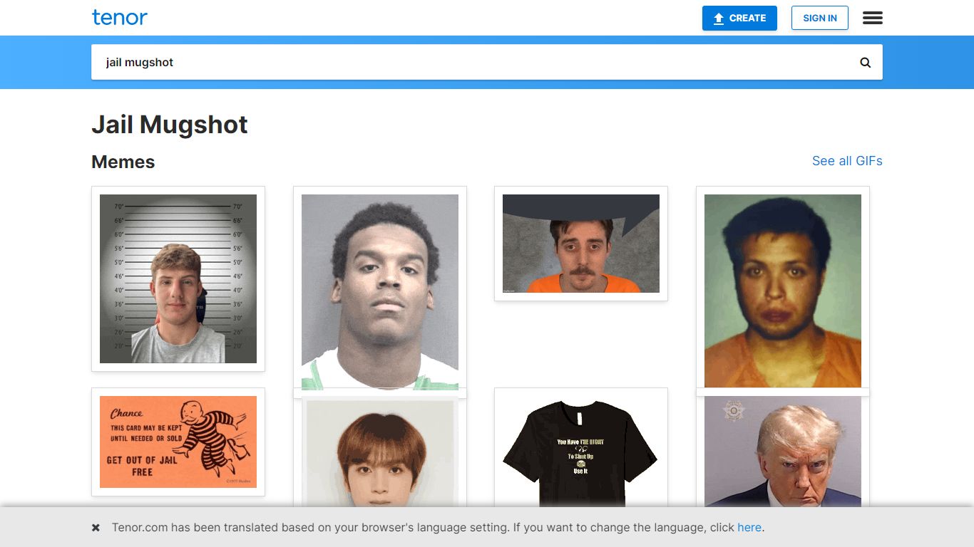 Jail Mugshot GIFs | Tenor